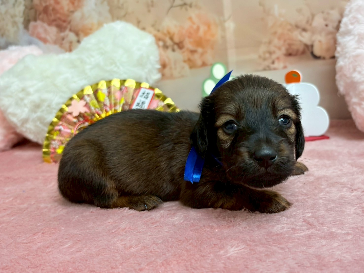 赤ちゃん写真2-2