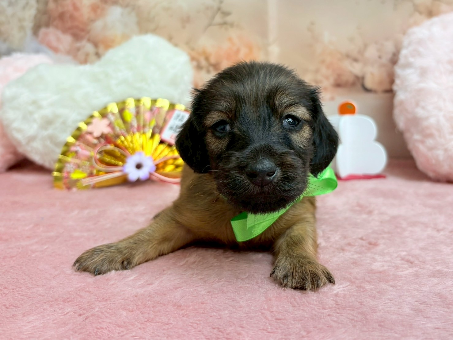 赤ちゃん写真2-1