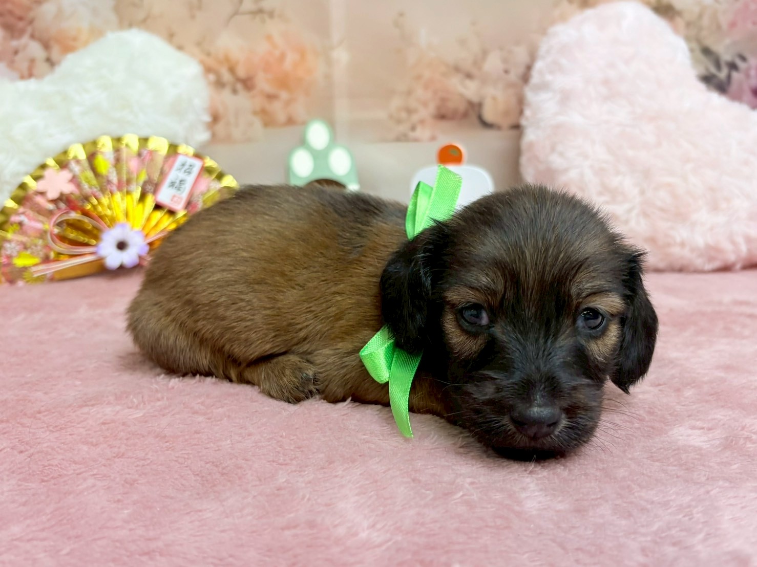 赤ちゃん写真2-2