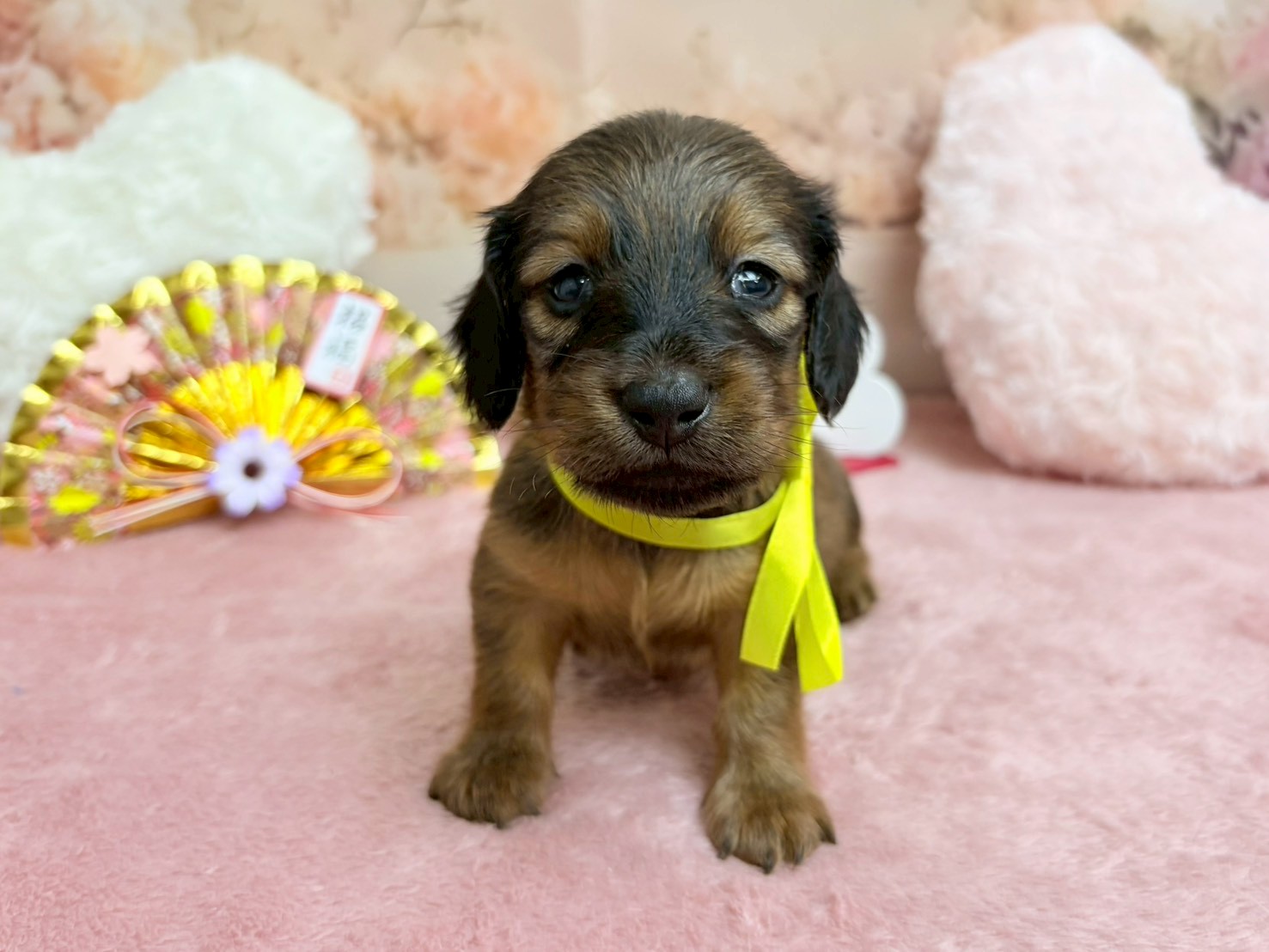 赤ちゃん写真2-1