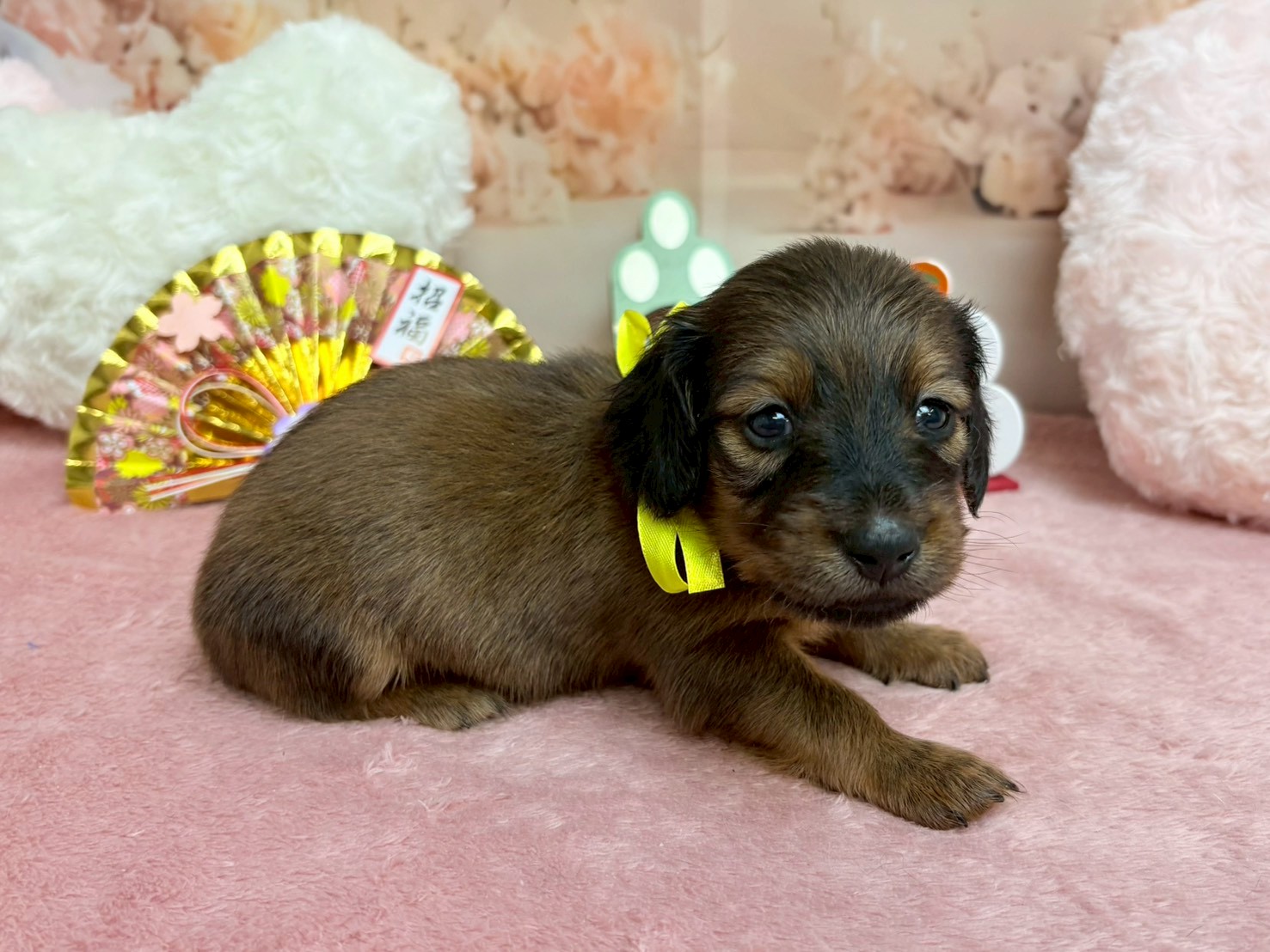 赤ちゃん写真2-2