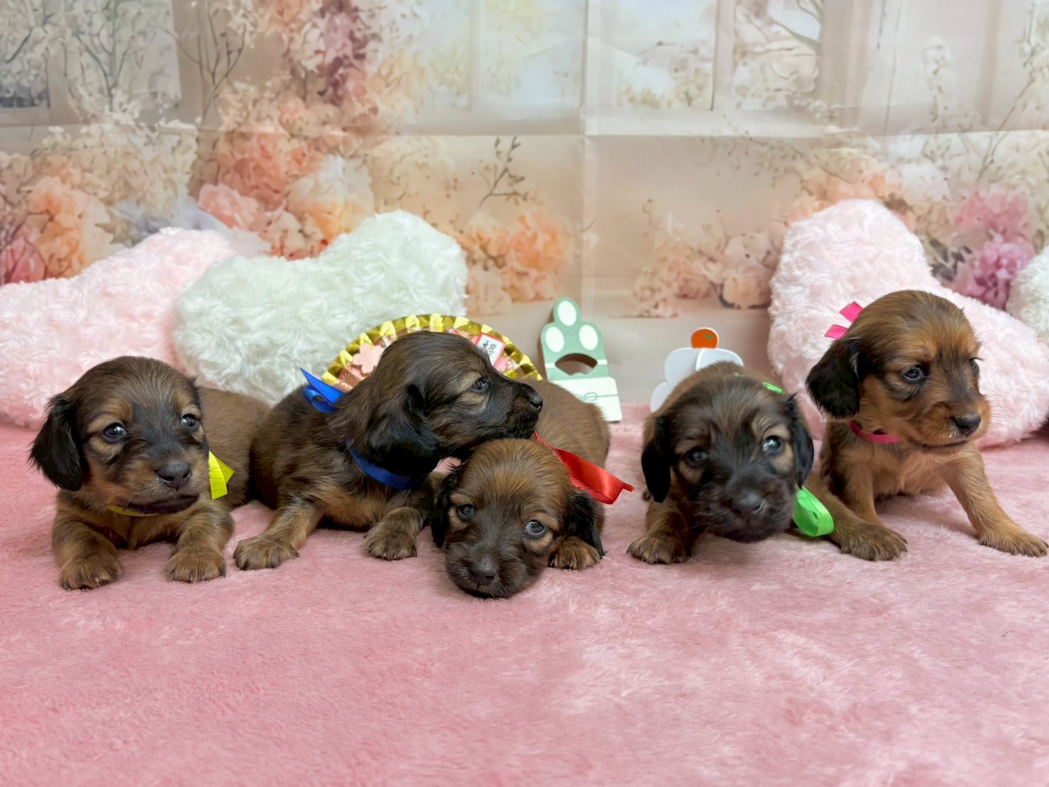 赤ちゃん写真2-3