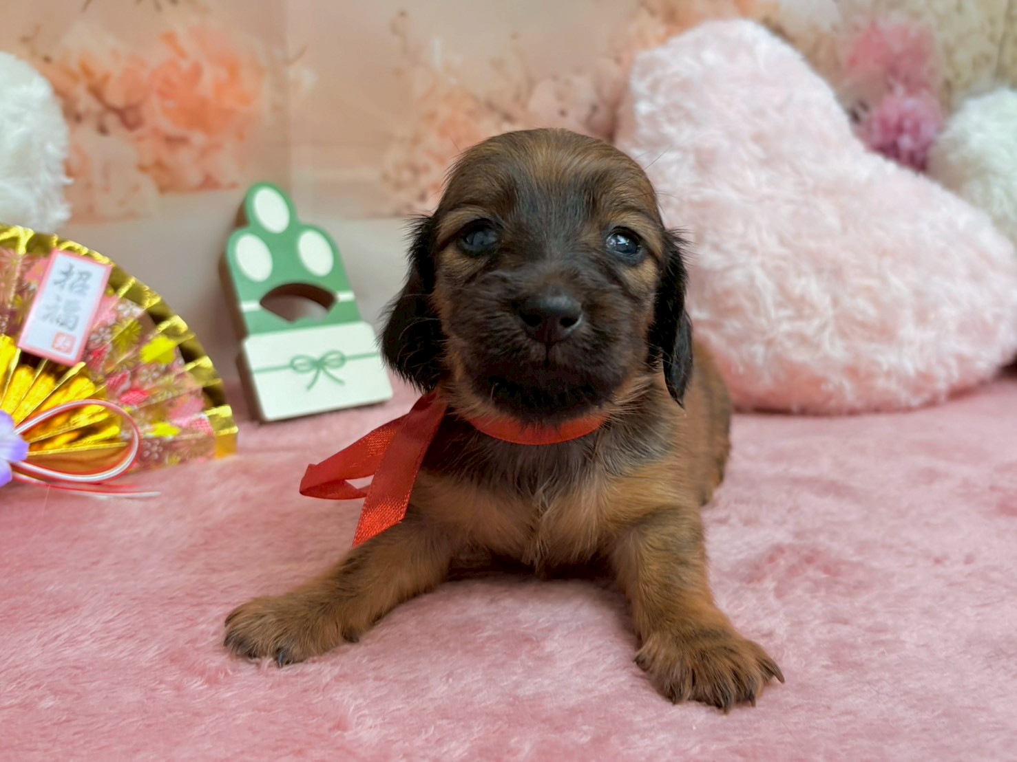 赤ちゃん写真2-1