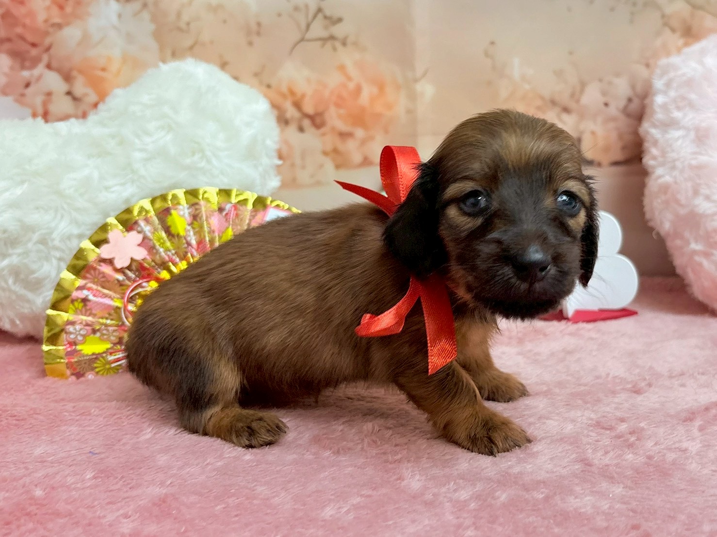 赤ちゃん写真2-2