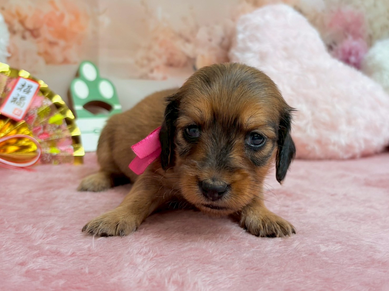 赤ちゃん写真2-1