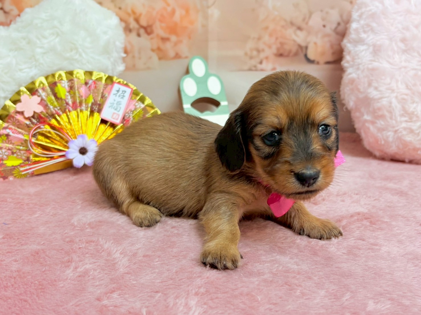 赤ちゃん写真2-2