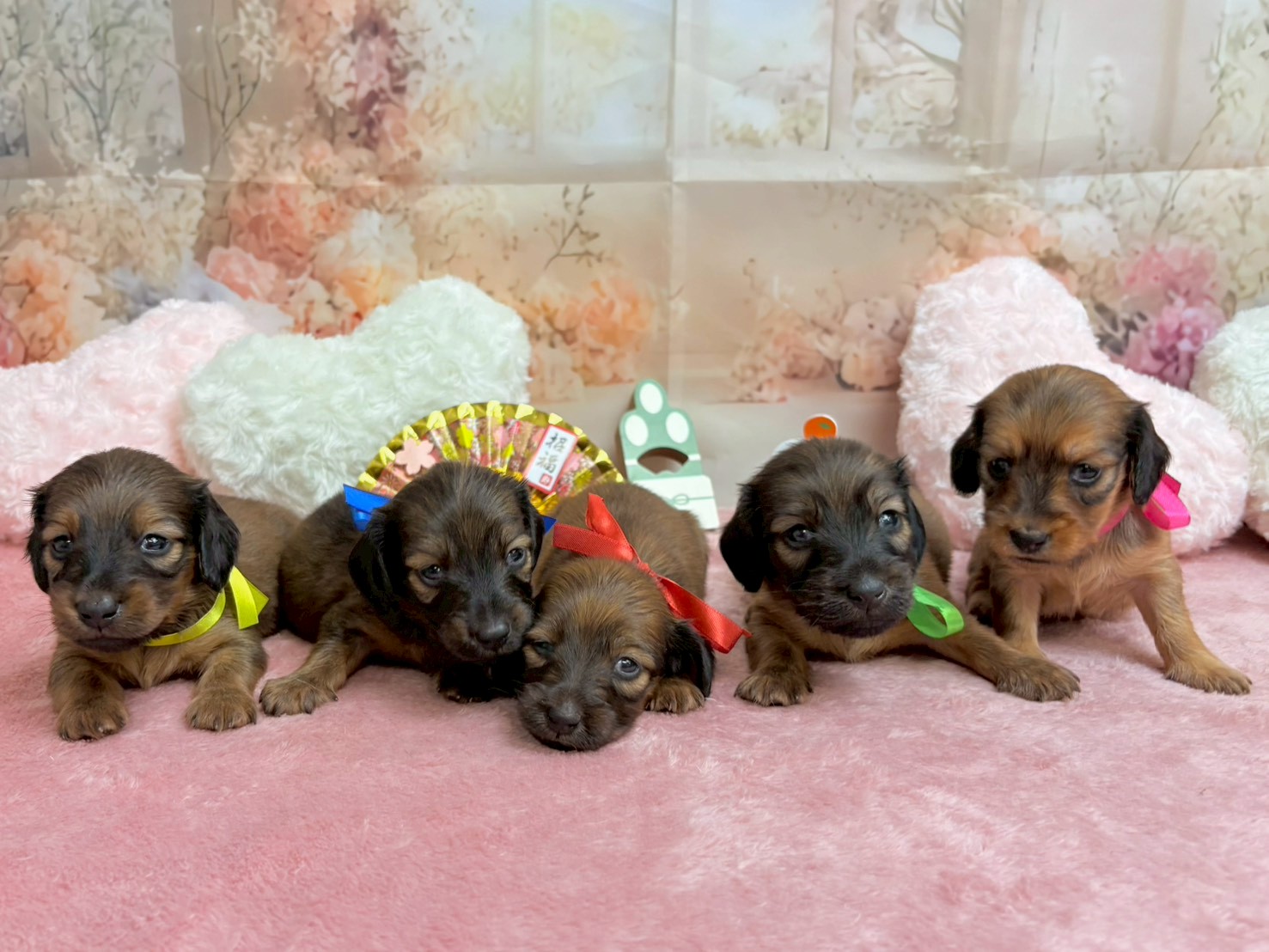 赤ちゃん写真2-3