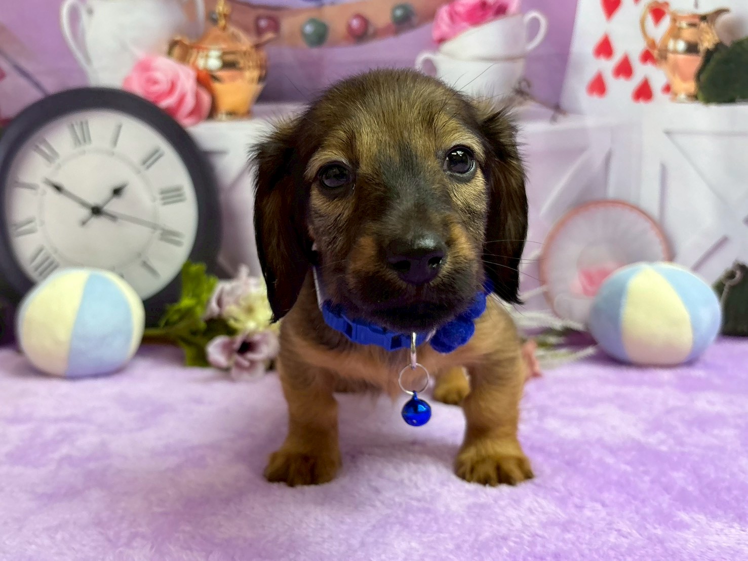 赤ちゃん写真3-1