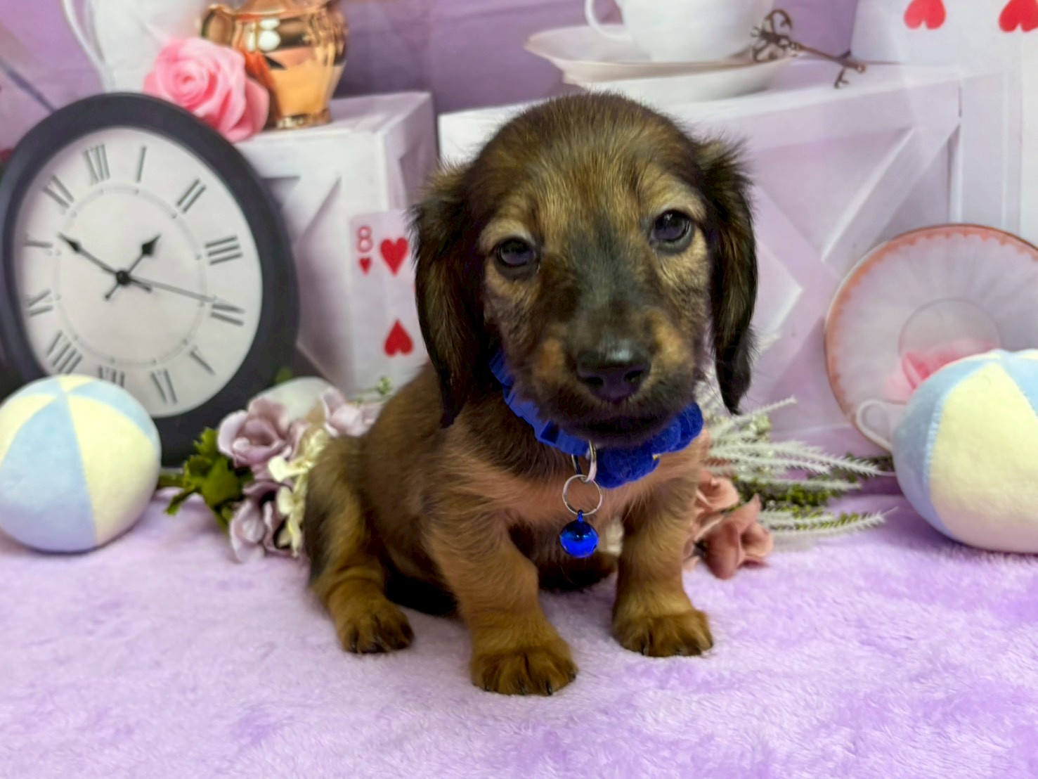 赤ちゃん写真3-2