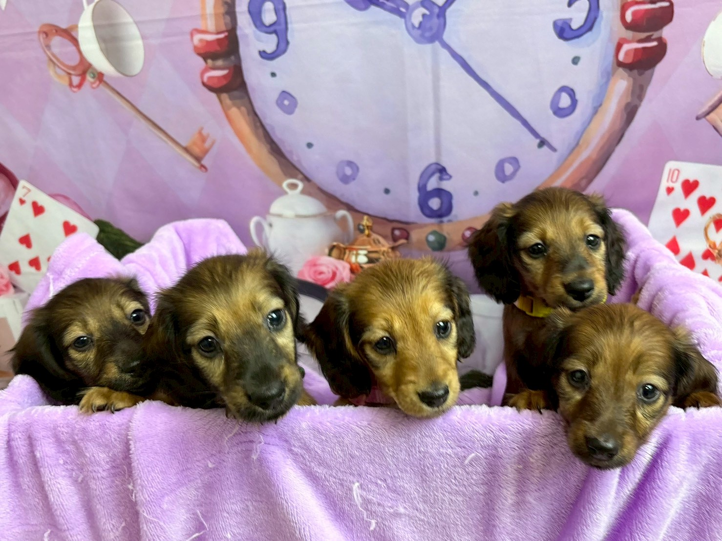 赤ちゃん写真3-3