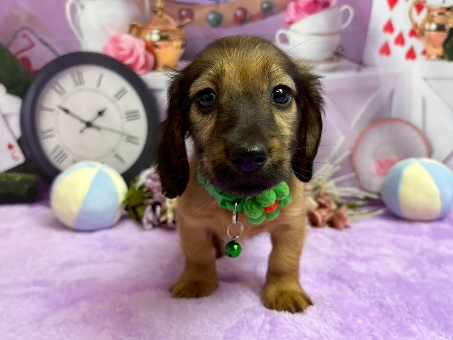 赤ちゃん写真3-1