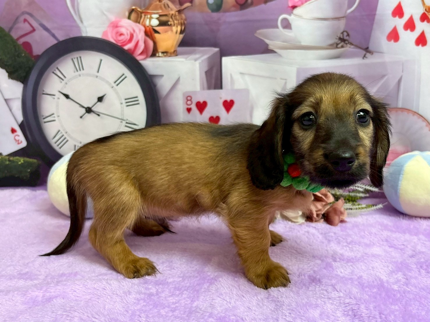 赤ちゃん写真3-2