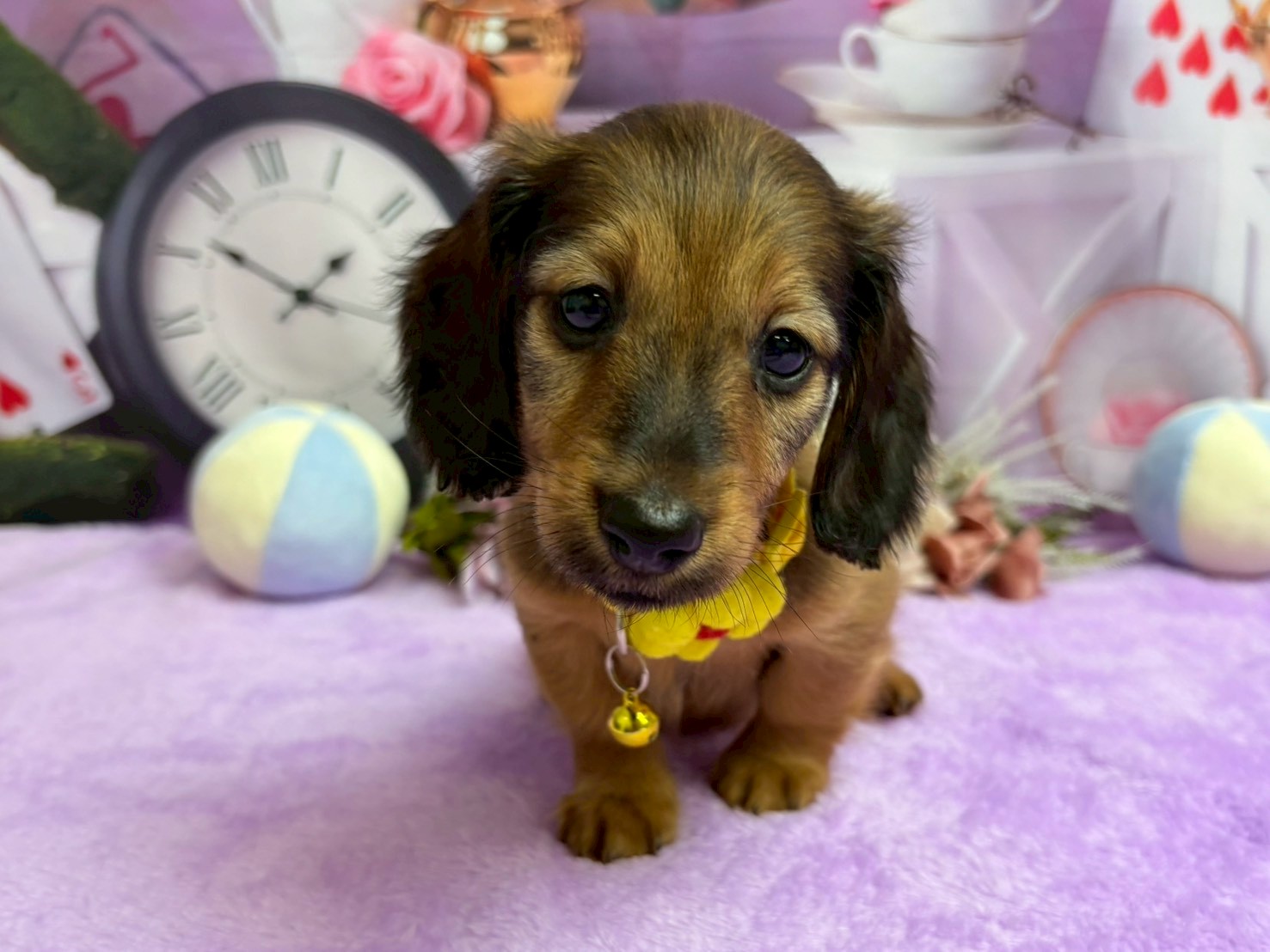 赤ちゃん写真3-1