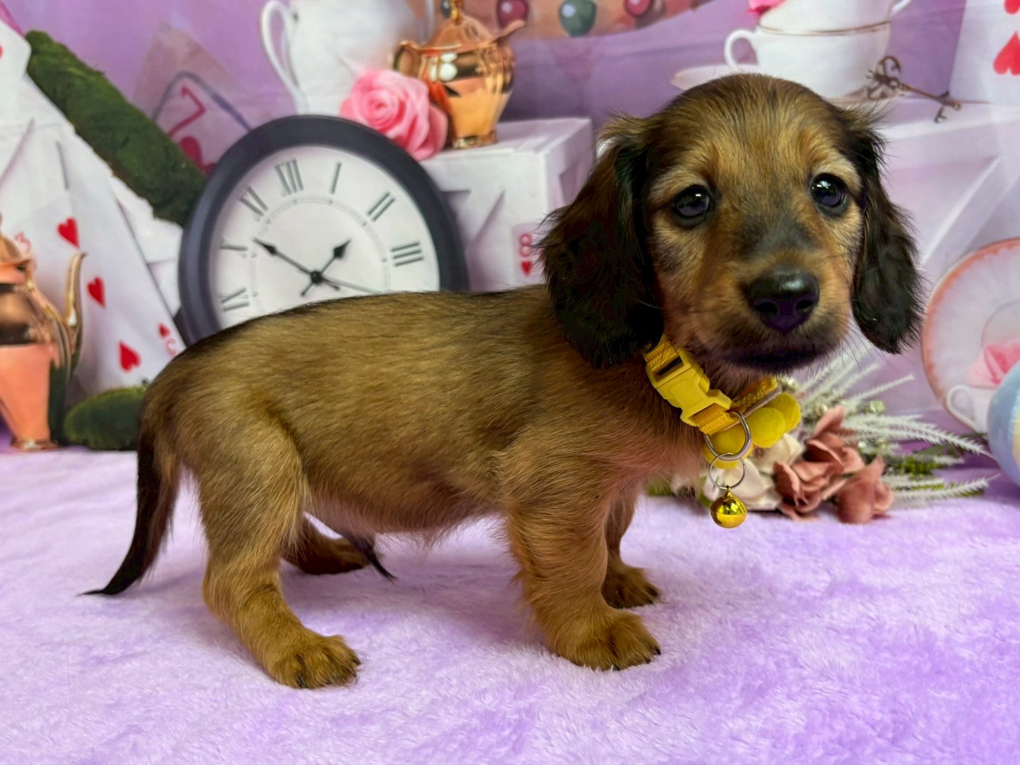 赤ちゃん写真3-2