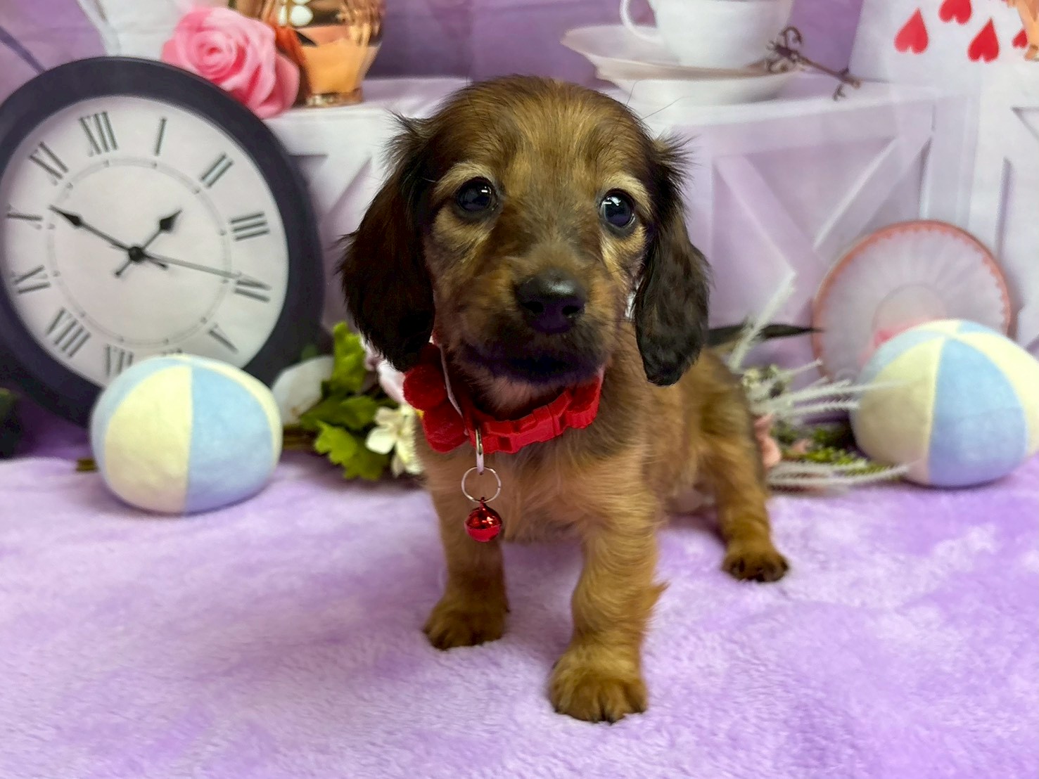 赤ちゃん写真3-1