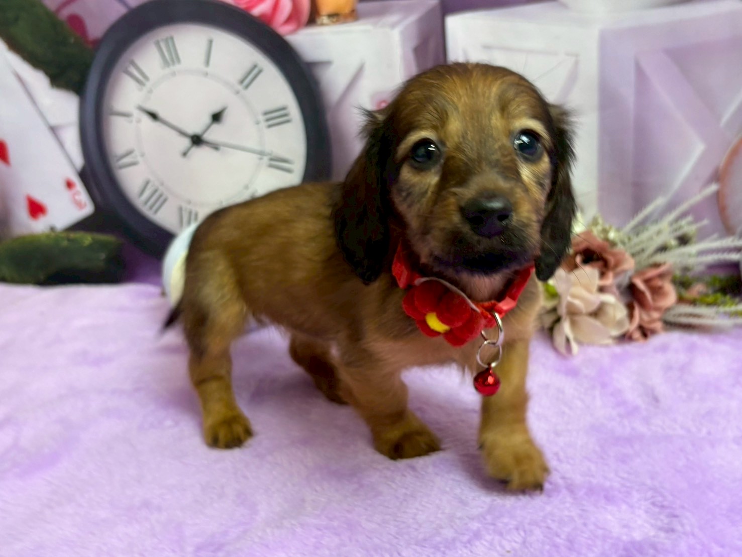 赤ちゃん写真3-2