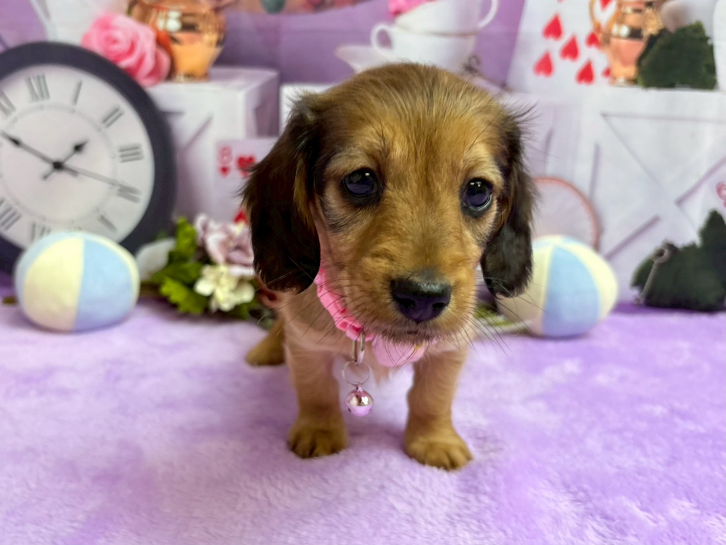 赤ちゃん写真3-1