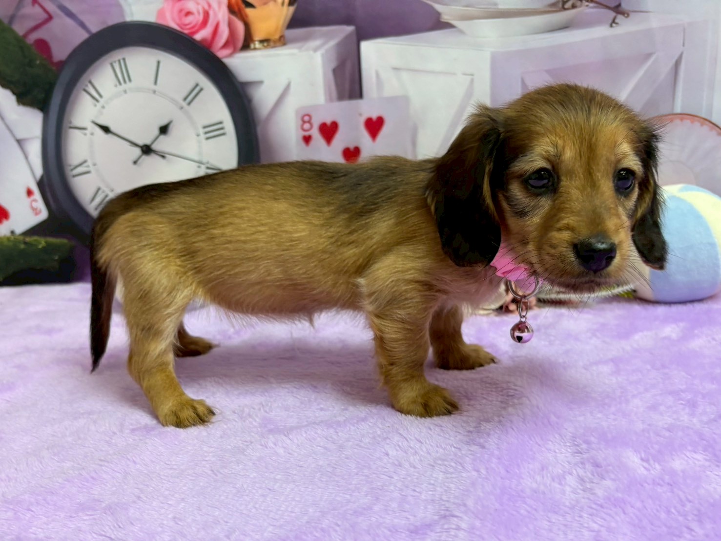 赤ちゃん写真3-2