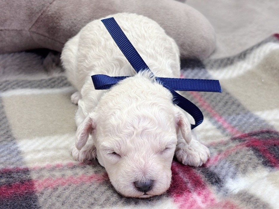 赤ちゃん写真1-1