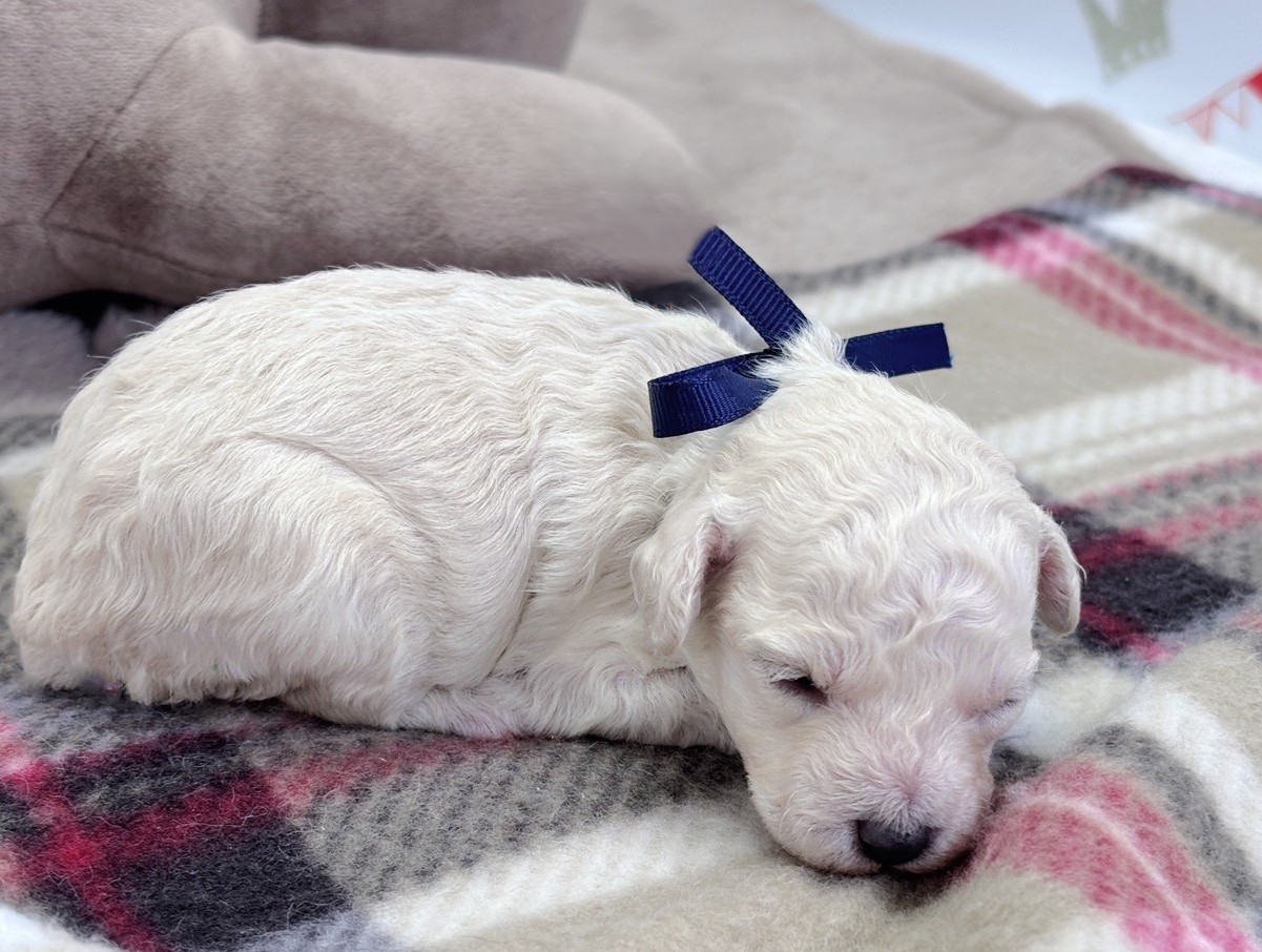 赤ちゃん写真1-2