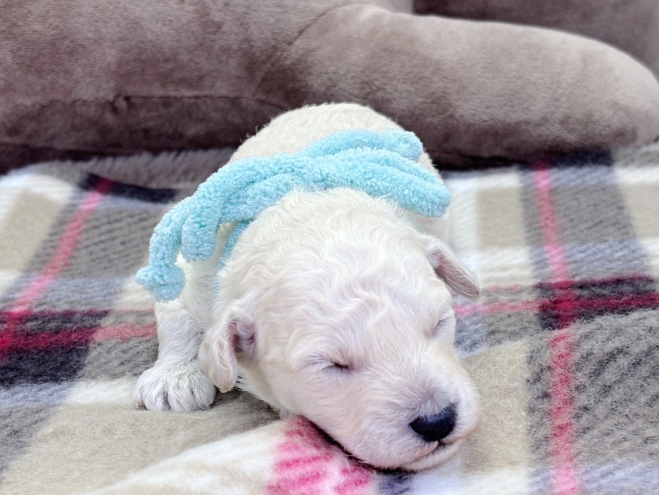 赤ちゃん写真1-1