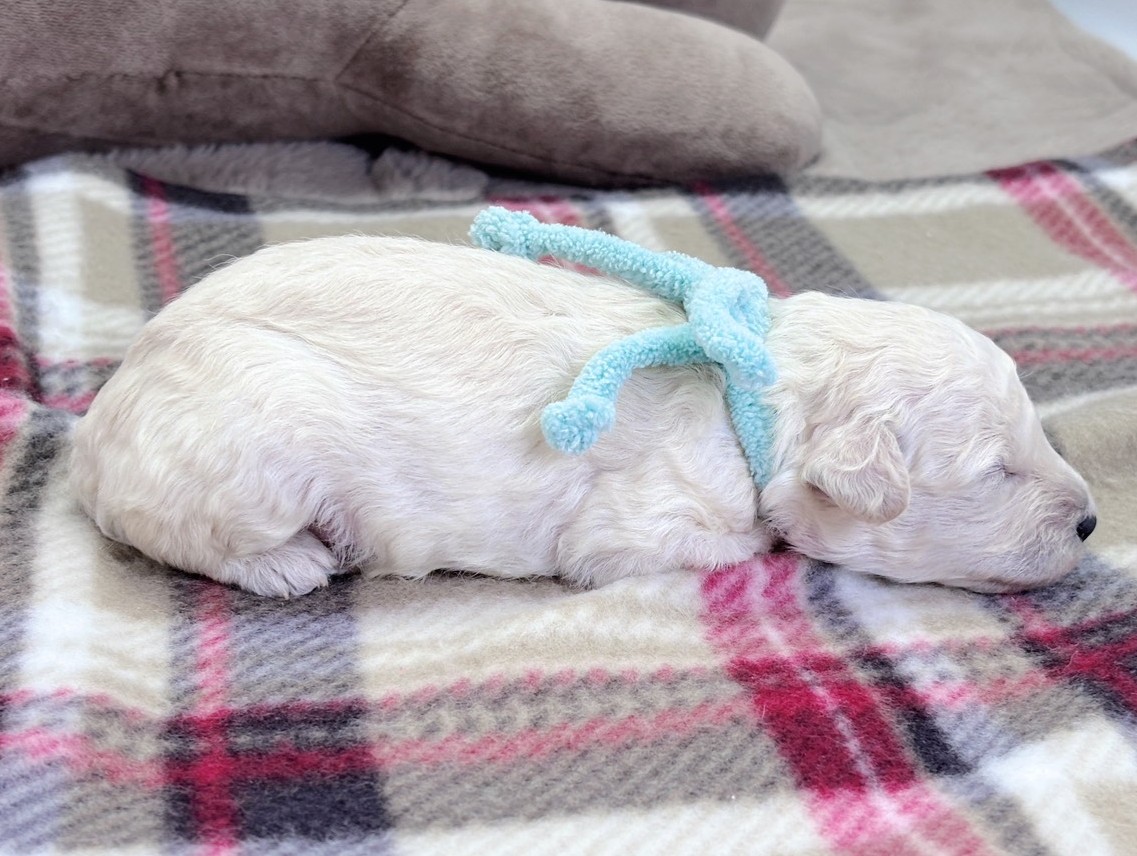 赤ちゃん写真1-2