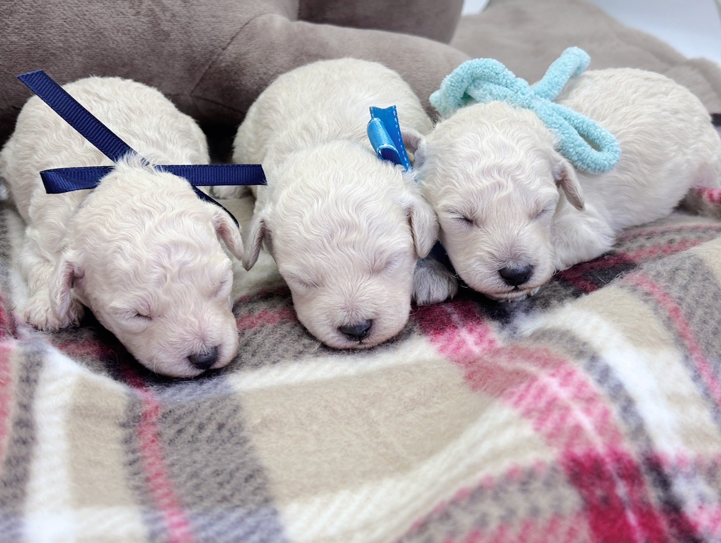 赤ちゃん写真1-3