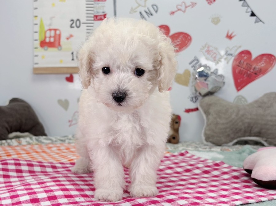 赤ちゃん写真2-1