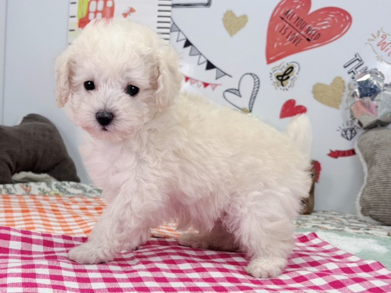 赤ちゃん写真2-2