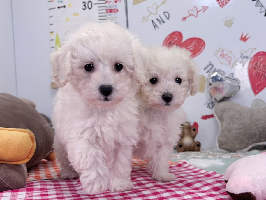 赤ちゃん写真2-3