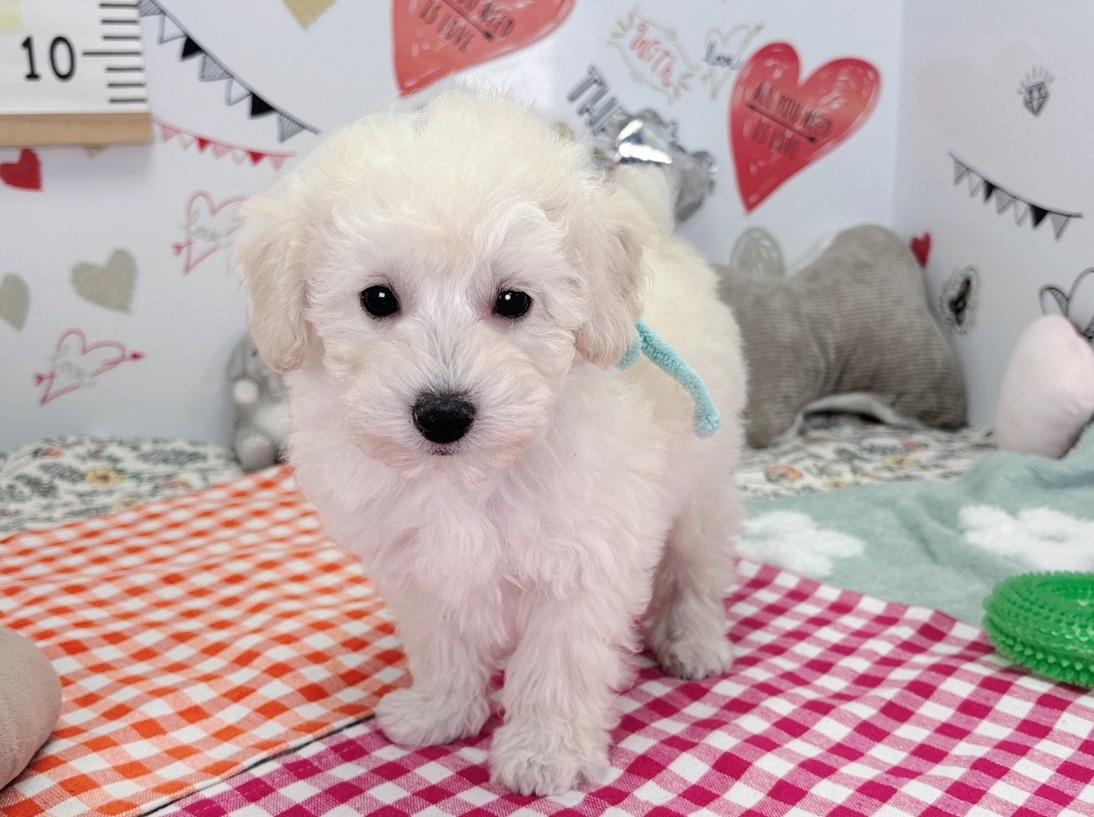 赤ちゃん写真2-1