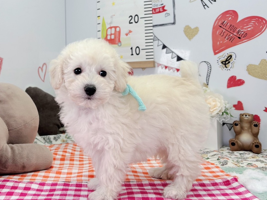 赤ちゃん写真2-2