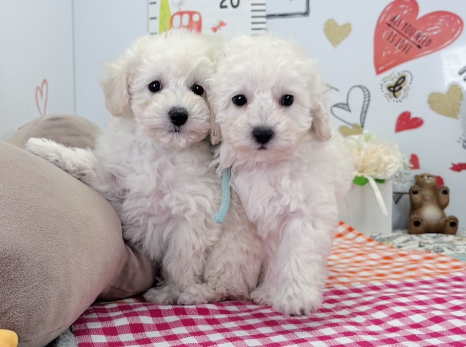 赤ちゃん写真2-3