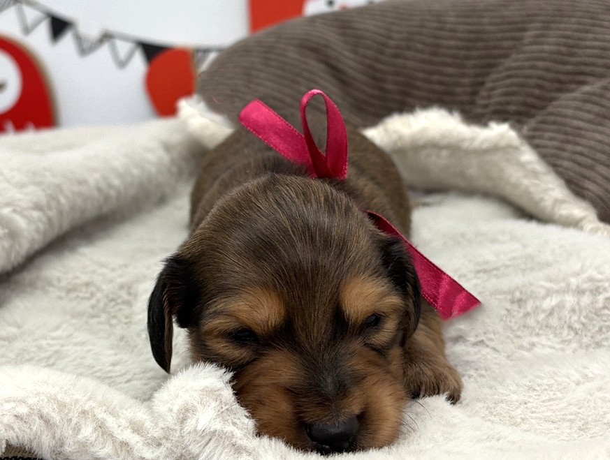 赤ちゃん写真1-1