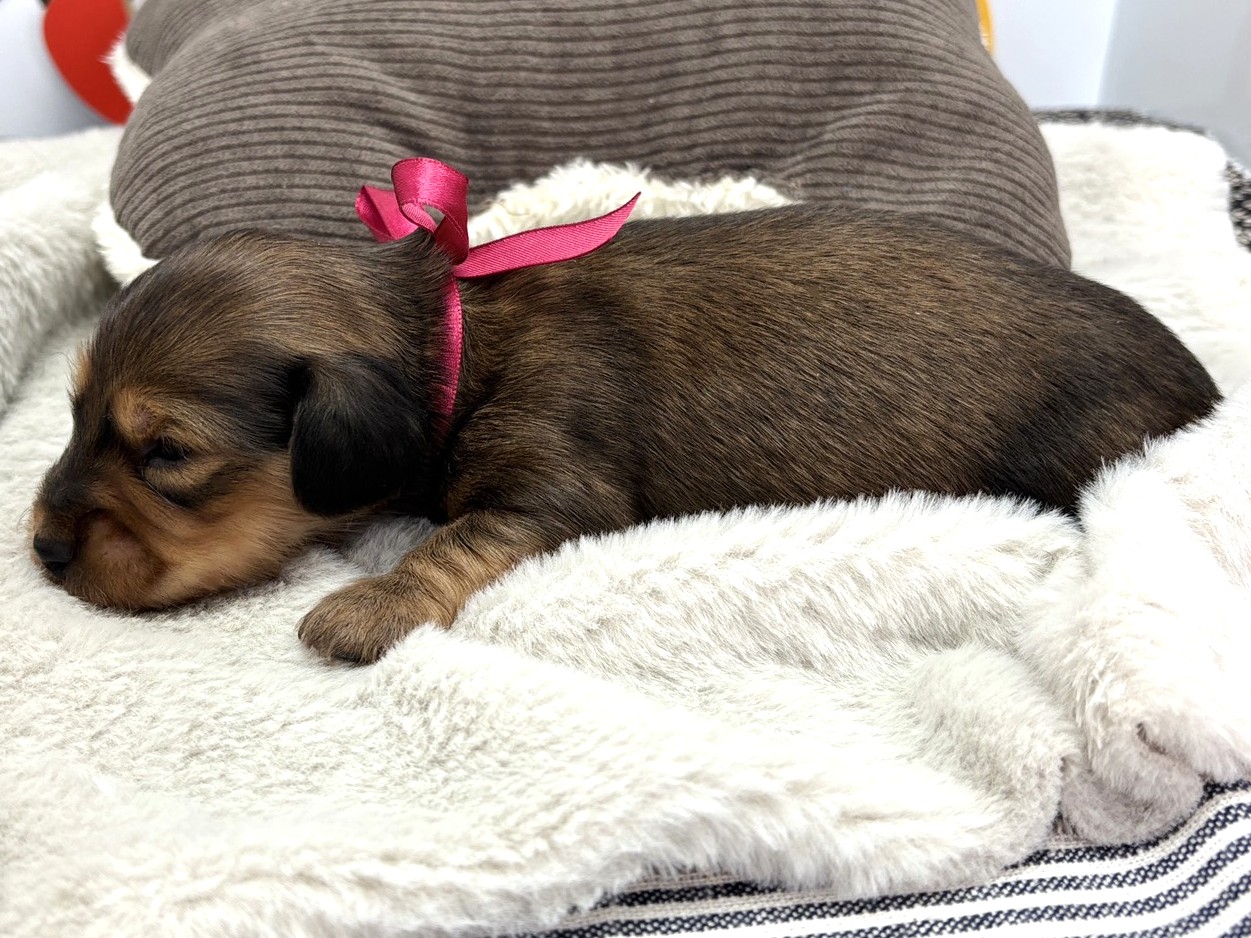 赤ちゃん写真1-2