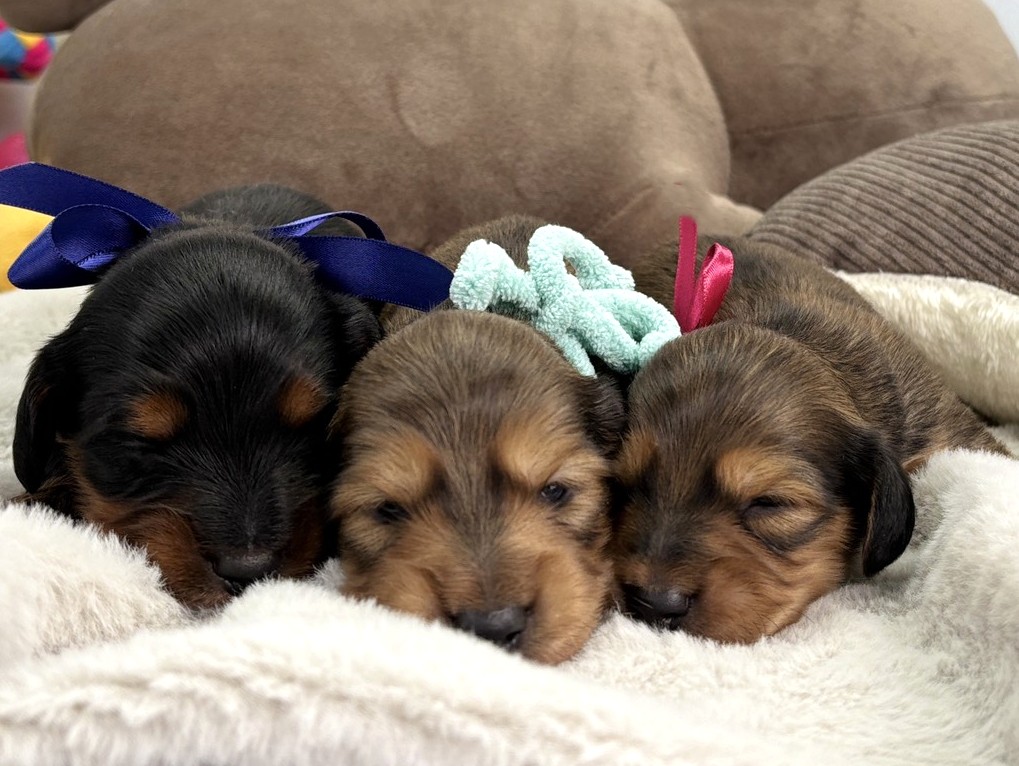 赤ちゃん写真1-3