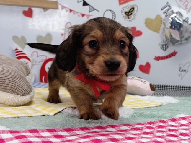 赤ちゃん写真2-1