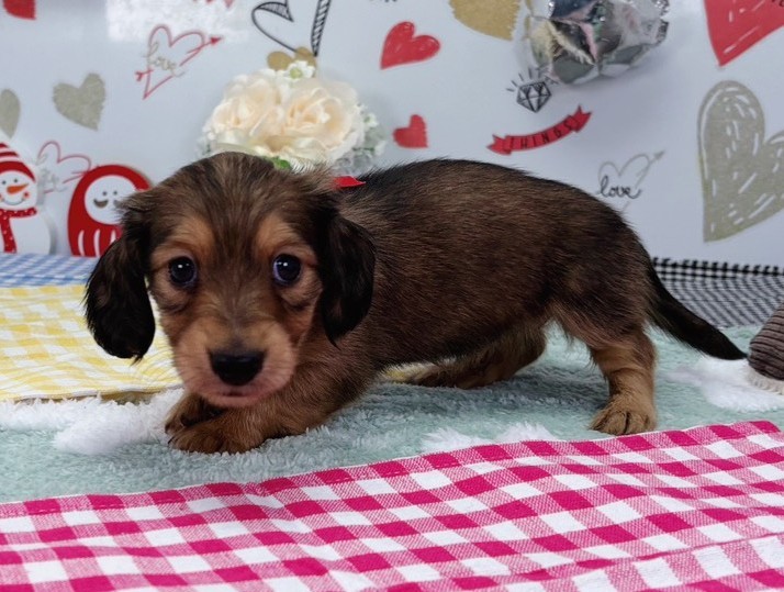 赤ちゃん写真2-2