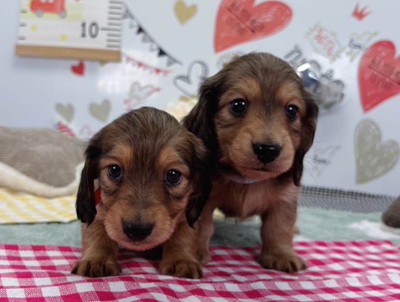 赤ちゃん写真2-3