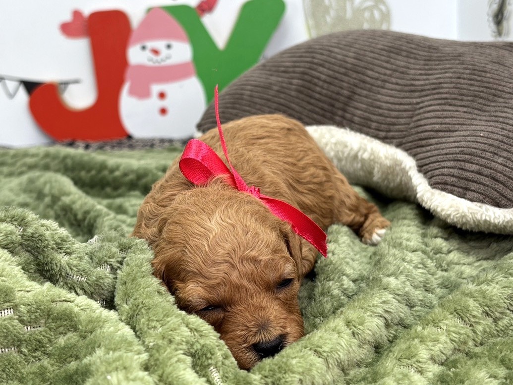 赤ちゃん写真1-1