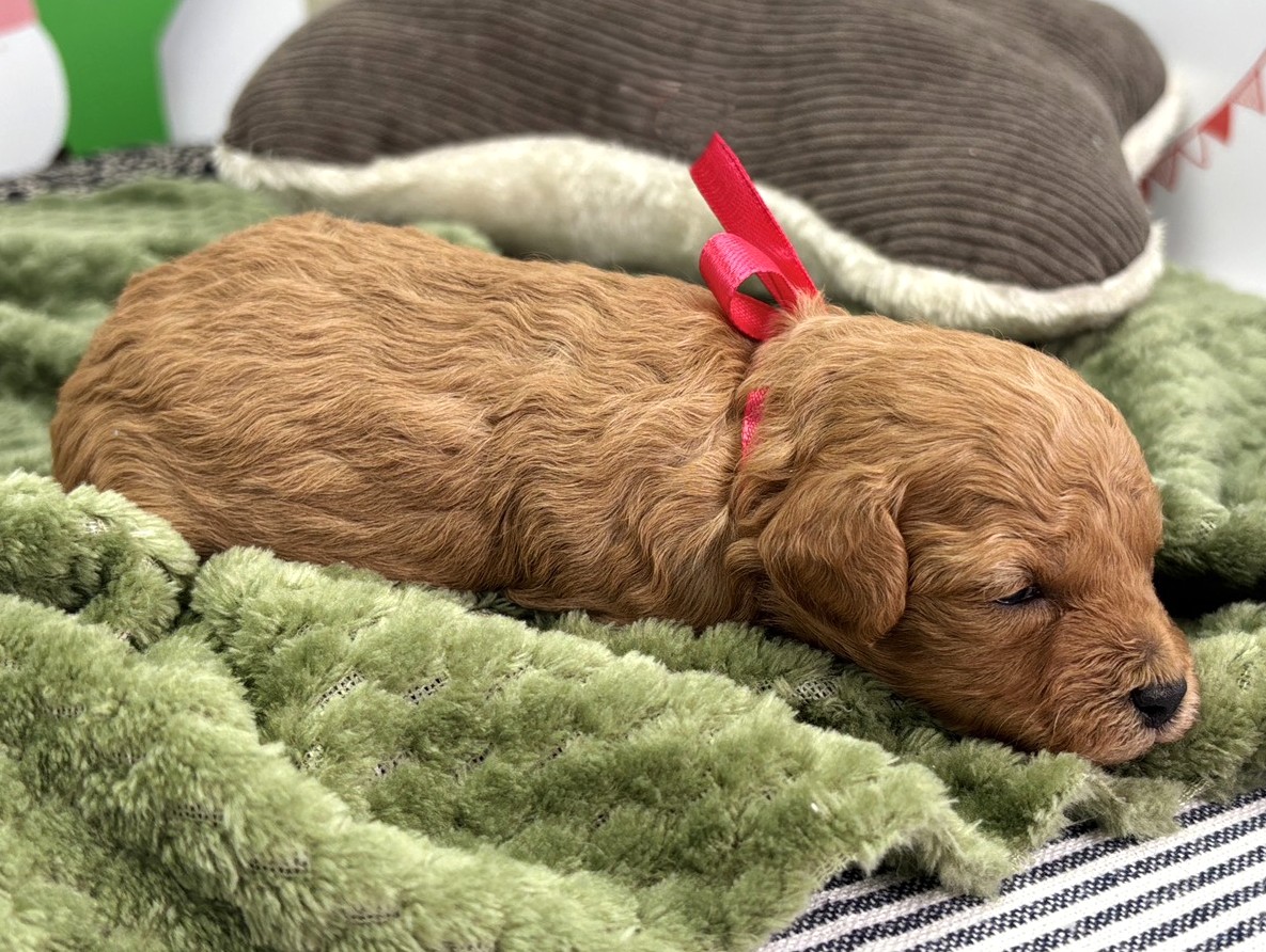 赤ちゃん写真1-2