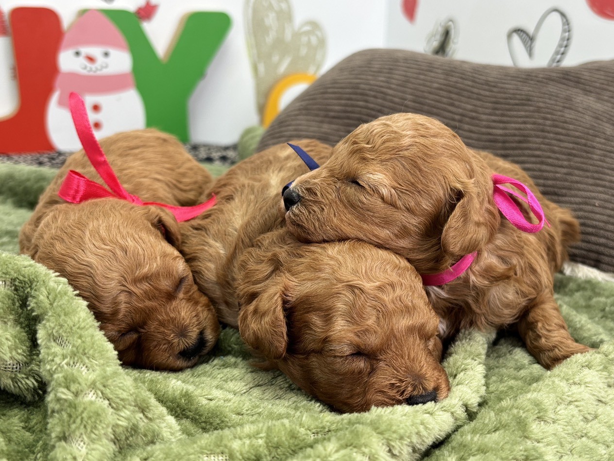 赤ちゃん写真1-3