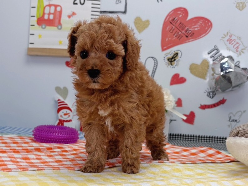 赤ちゃん写真2-1