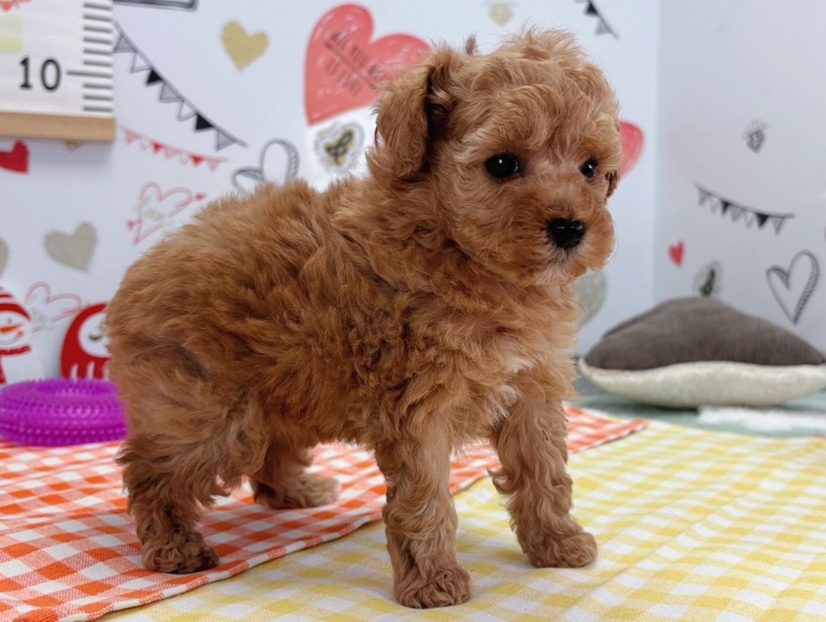 赤ちゃん写真2-2