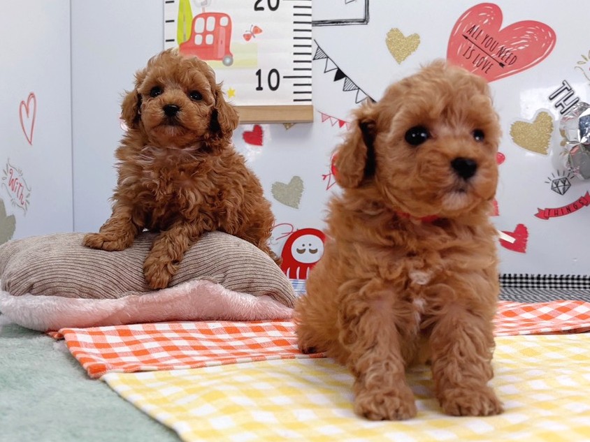 赤ちゃん写真2-3