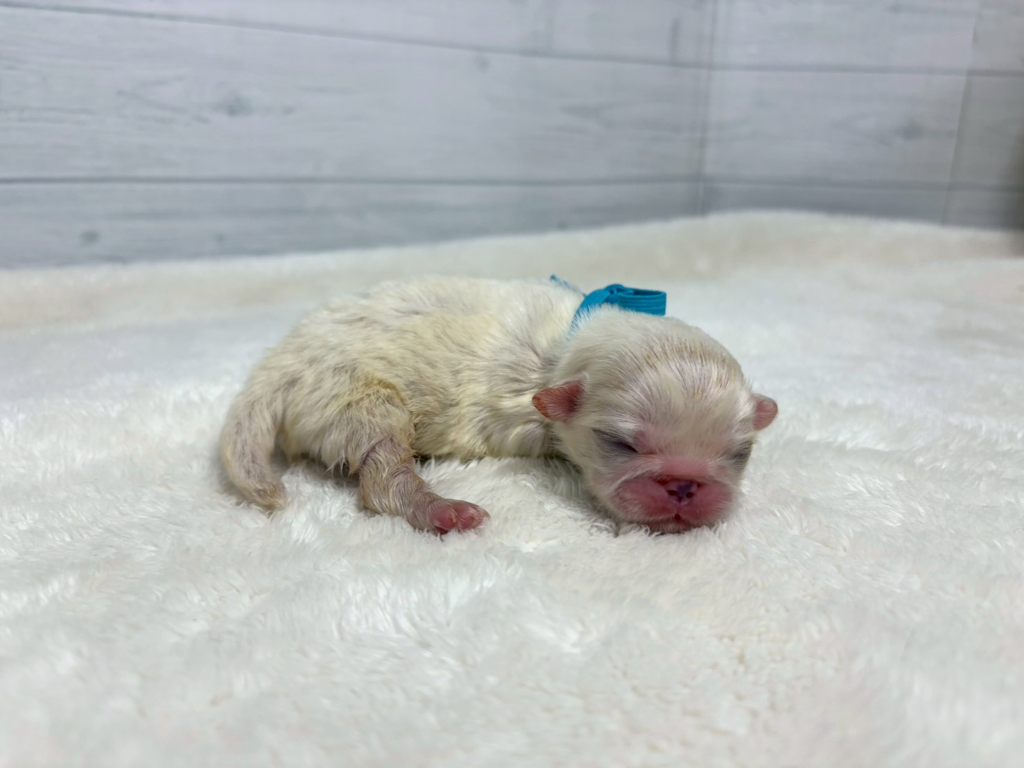 赤ちゃん写真1-2