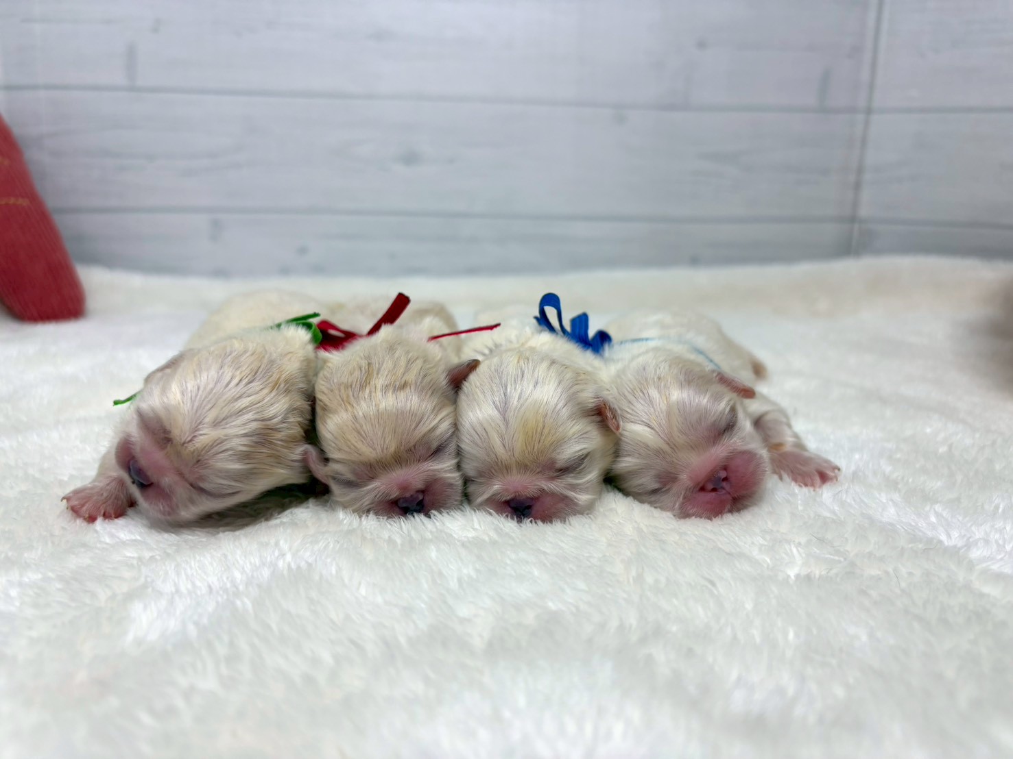 赤ちゃん写真1-3