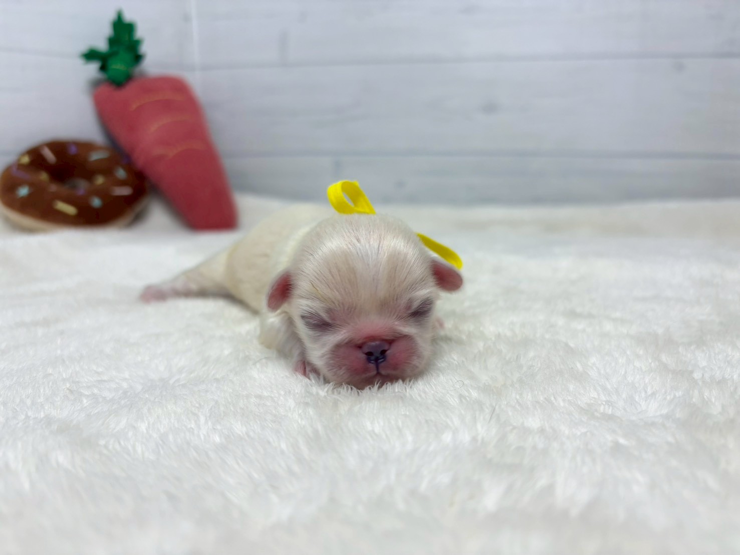 赤ちゃん写真1-1