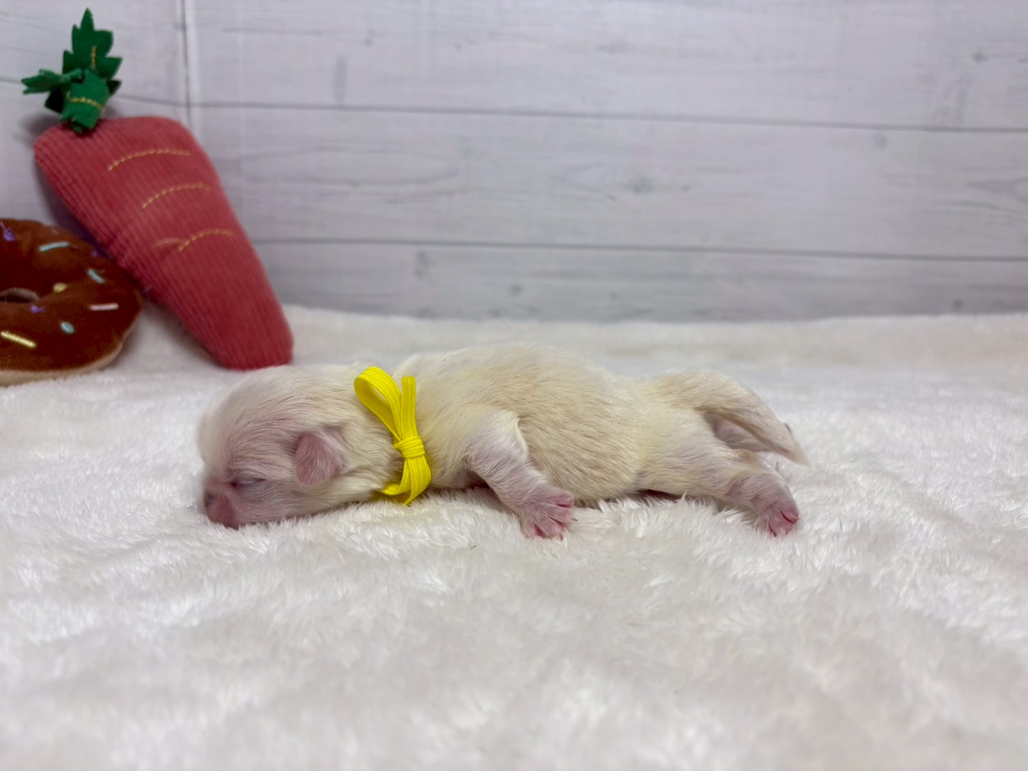 赤ちゃん写真1-2