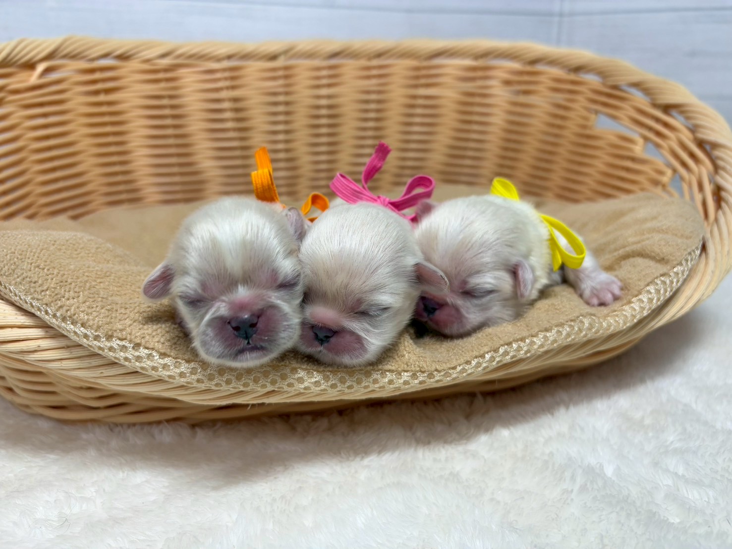 赤ちゃん写真1-3